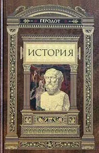 Обложка: История