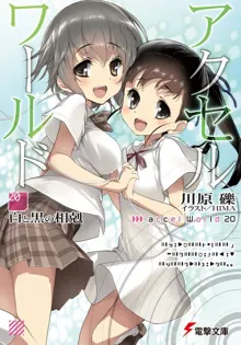 Обложка: Accel World 20: Противостояние белых и черных