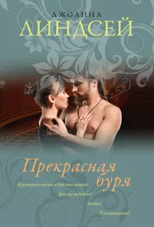 Обложка: Прекрасная буря