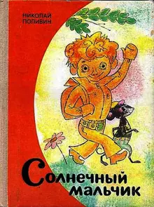 Обложка: Солнечный мальчик