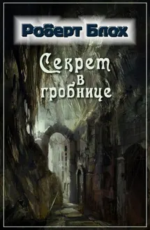 Обложка: Секрет в гробнице