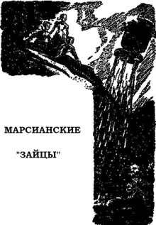 Обложка: Марсианские «зайцы»