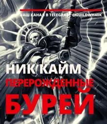 Обложка: Перерожденные бурей