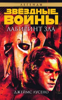 Обложка: Лабиринт зла