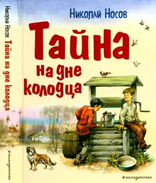Обложка: Тайна на дне колодца