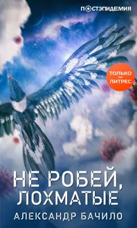 Обложка: Не робей, лохматые!