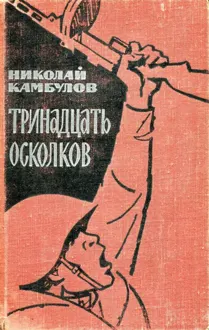 Обложка: Тринадцать осколков