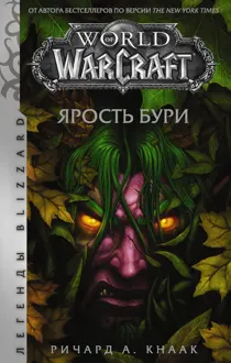 Обложка: Ярость Бури