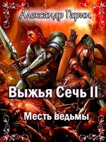 Обложка: Месть ведьмы