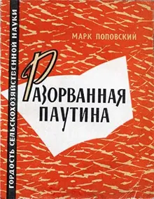 Обложка: Разорванная паутина