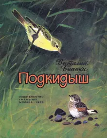 Обложка: Подкидыш