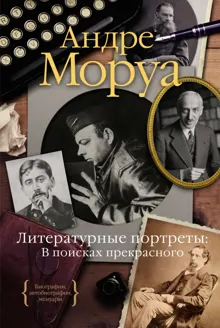 Обложка: Литературные портреты: в поисках прекрасного
