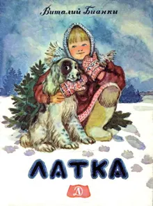 Обложка: Латка