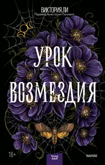 Обложка: Урок возмездия
