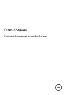 Обложка: Сделанный в Америке волшебный принц