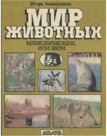 Обложка: Мир животных: Млекопитающие, или звери