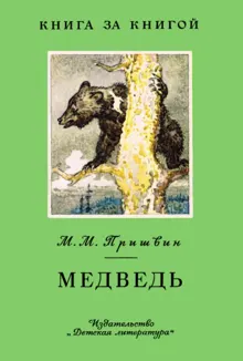 Обложка: Медведь