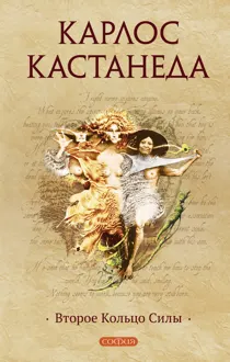 Обложка: Второе Кольцо Силы
