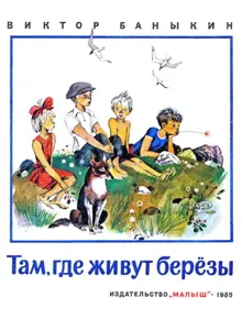 Обложка: Там, где живут березы