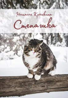 Обложка: Степашка