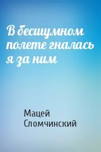 Обложка: В бесшумном полете гналась я за ним