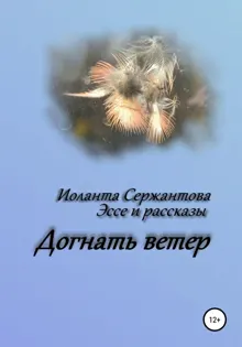 Обложка: Догнать ветер