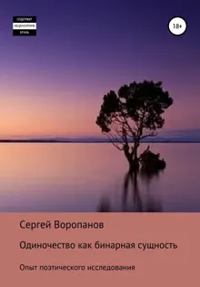 Обложка: Одиночество как бинарная сущность. Опыт поэтического исследования