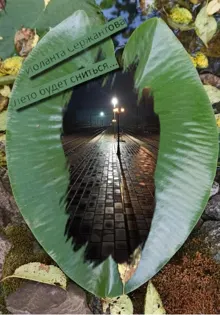 Обложка: Лето будет сниться…