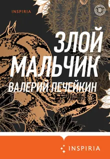 Обложка: Злой мальчик