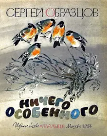 Обложка: Ничего особенного