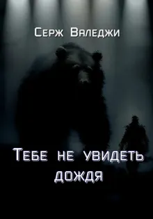 Обложка: Тебе не увидеть дождя