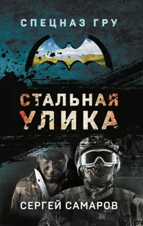 Обложка: Стальная улика