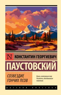 Обложка: Созвездие Гончих Псов