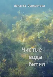 Обложка: Чистые воды бытия