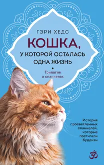 Обложка: Кошка, у которой осталась одна жизнь
