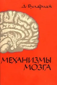 Обложка: Механизмы мозга