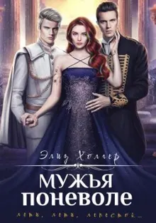 Обложка: Мужья поневоле