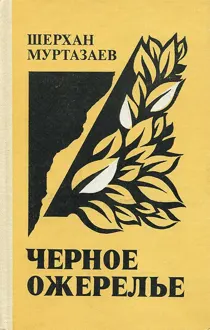Обложка: Черное ожерелье