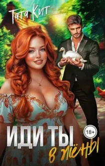 Обложка: Иди ты... в жёны