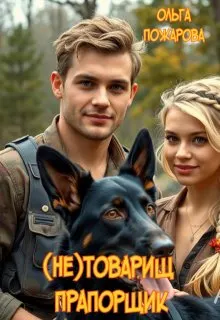 Обложка: (не)товарищ прапорщик