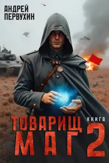 Обложка: Товарищ маг. Книга вторая