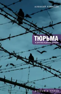 Обложка: Тюрьма и другие радости жизни. Очерки и стихи