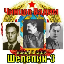 Обложка: Назад в СССР. Шелепин-3