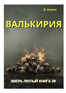 Обложка: Валькирия
