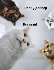 Обложка: Вставай!