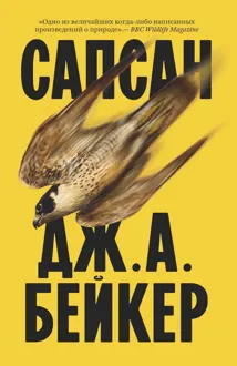 Обложка: Сапсан