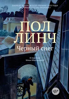 Обложка: Черный снег