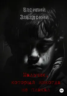 Обложка: Мальчик, который никогда не плакал