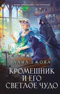 Обложка: Кромешник и его светлое чудо