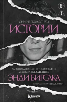 Обложка: Они не поймут эти истории. Вдохновляющая автобиография солиста Black Veil Brides Энди Бирсака